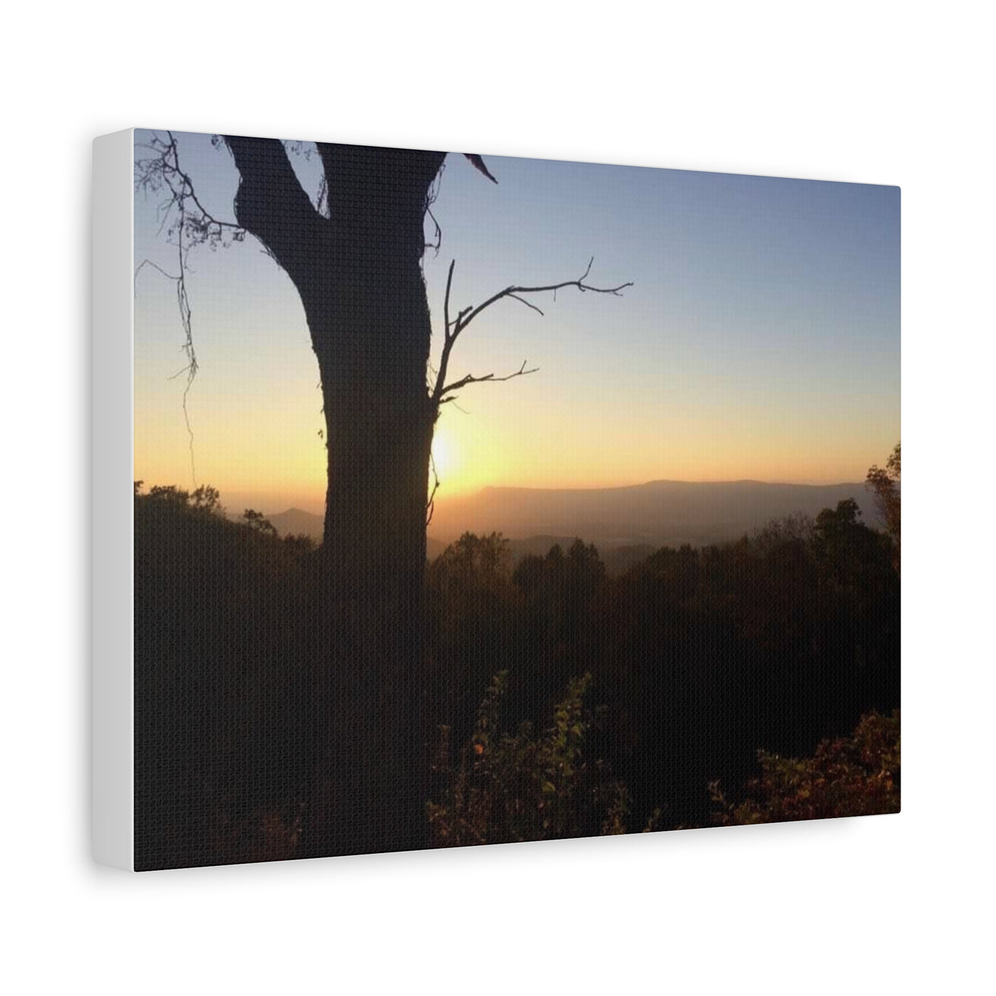 Canvas Print Tree Sunset Picture