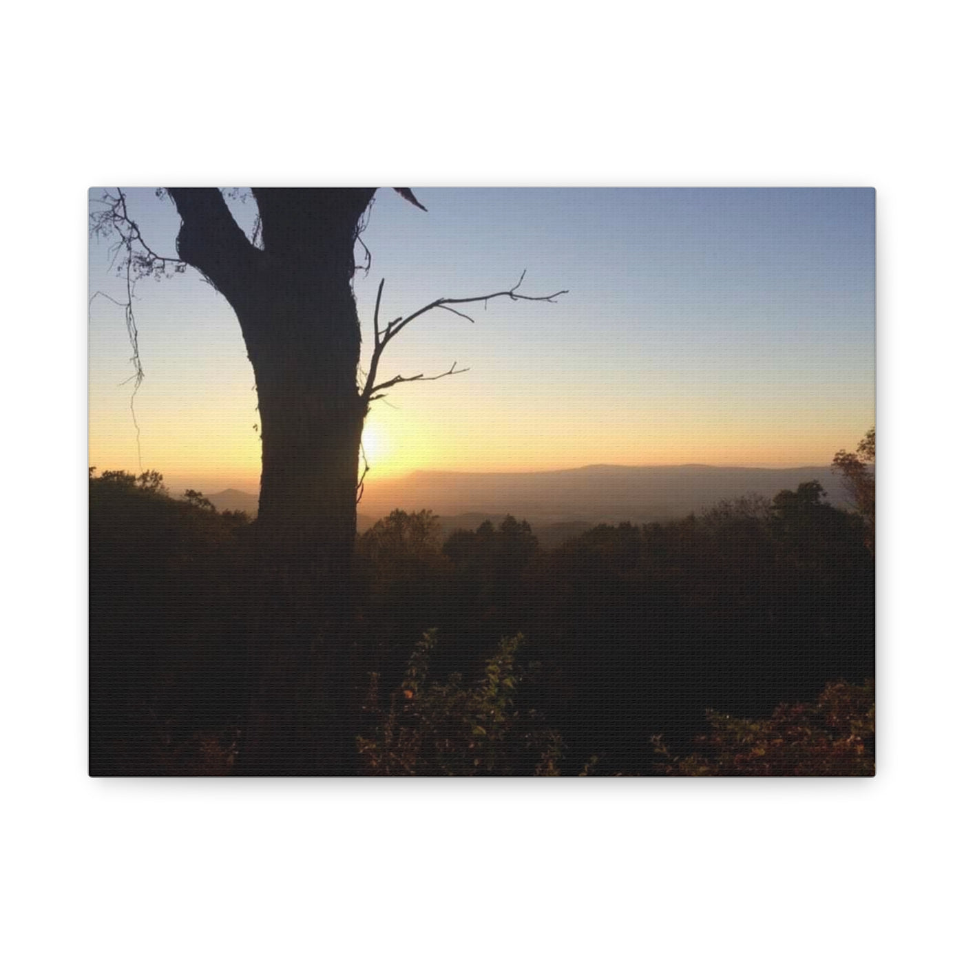 Canvas Print Tree Sunset Picture