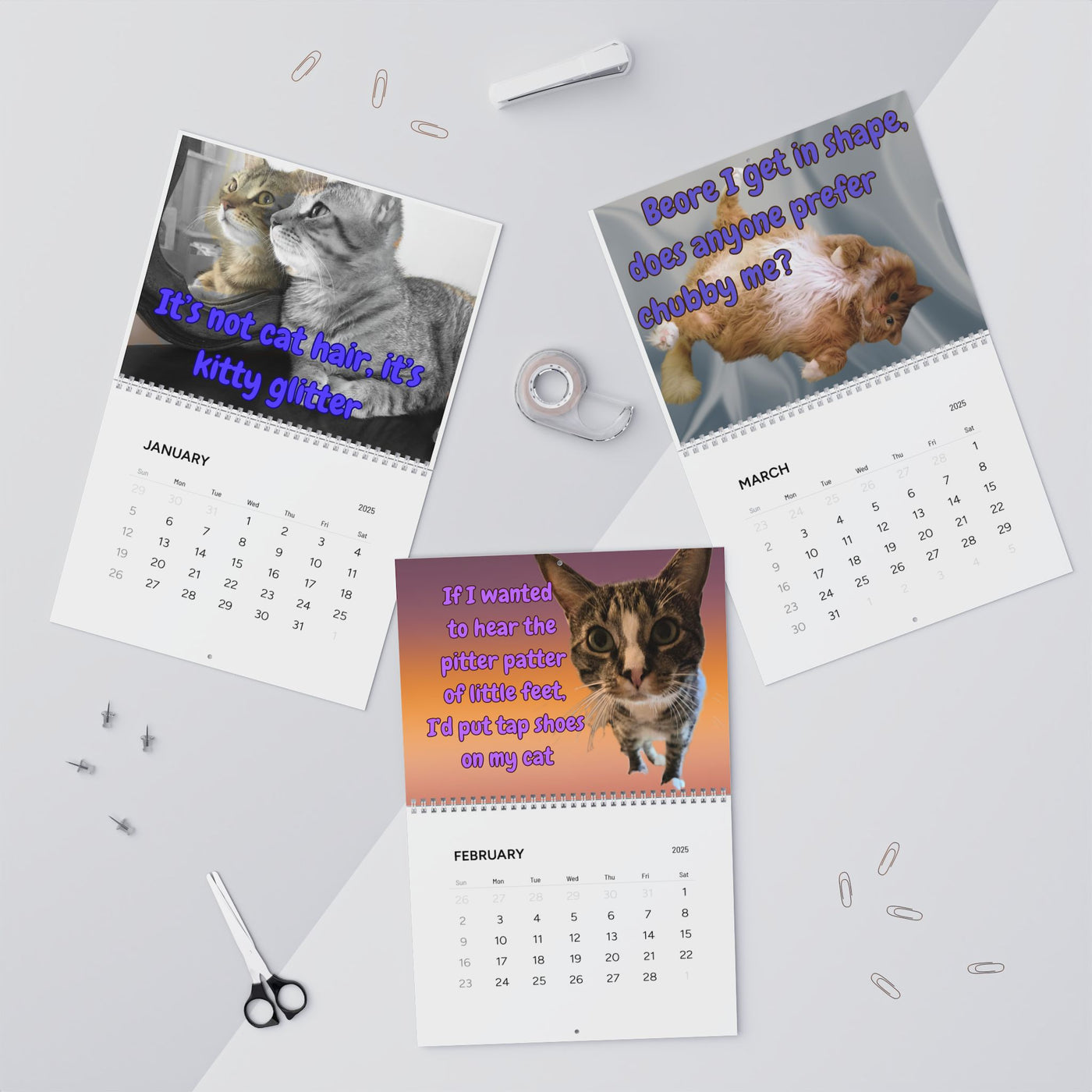 2025 Wall Calendar - Snarky Paws Catty Remarks Cat Calendar