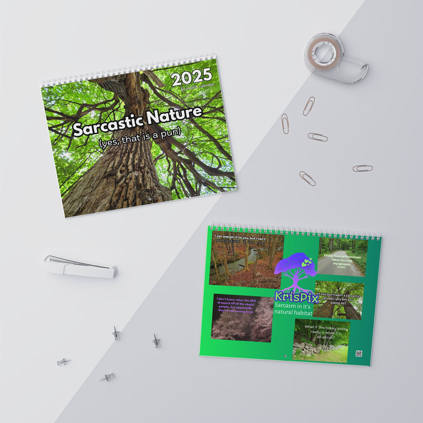 2025 Wall Calendars Sarcastic Nature