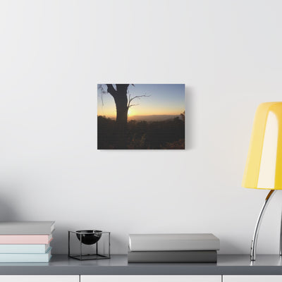 Canvas Print Tree Sunset Picture