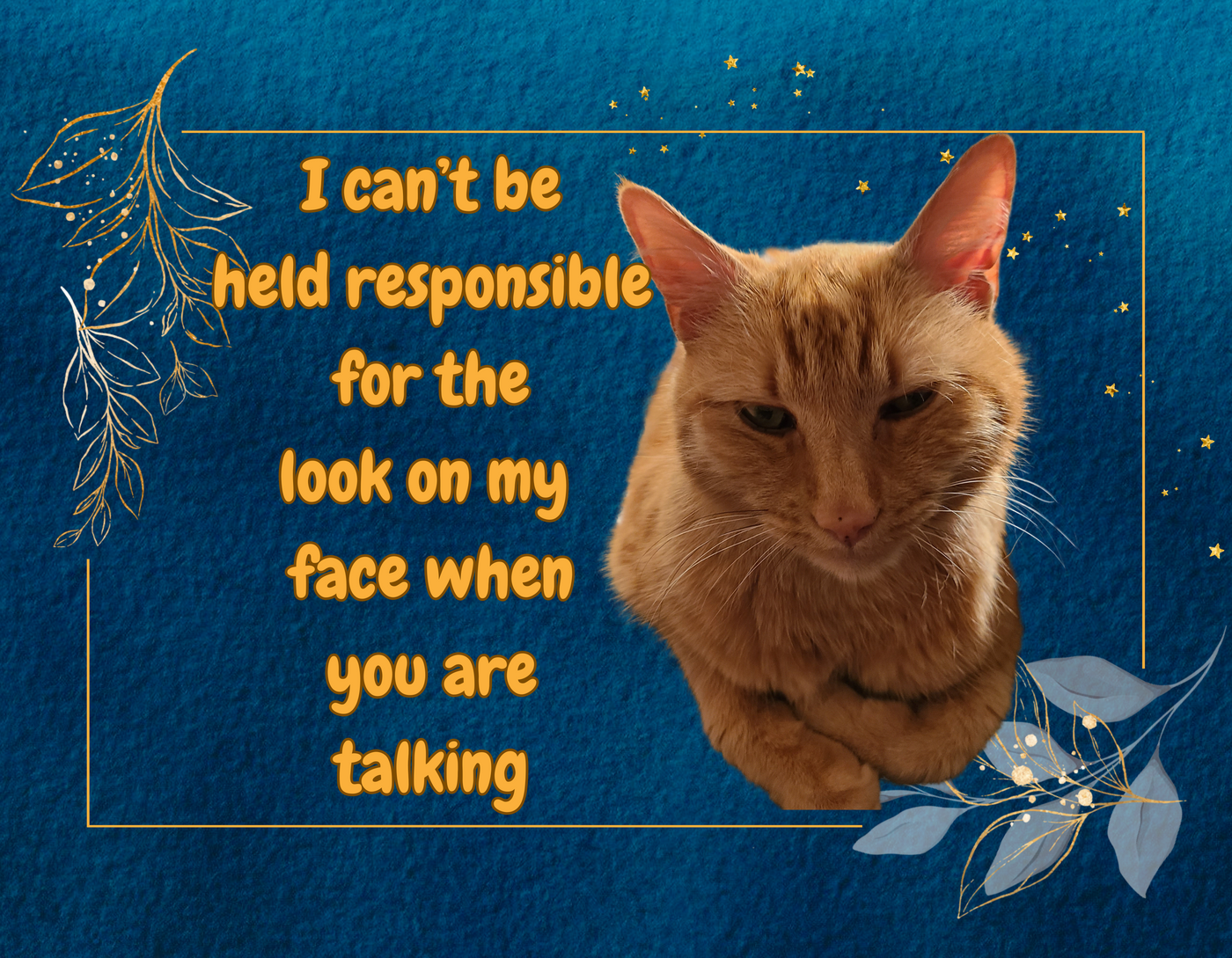 2025 Wall Calendar - Snarky Paws Catty Remarks Cat Calendar