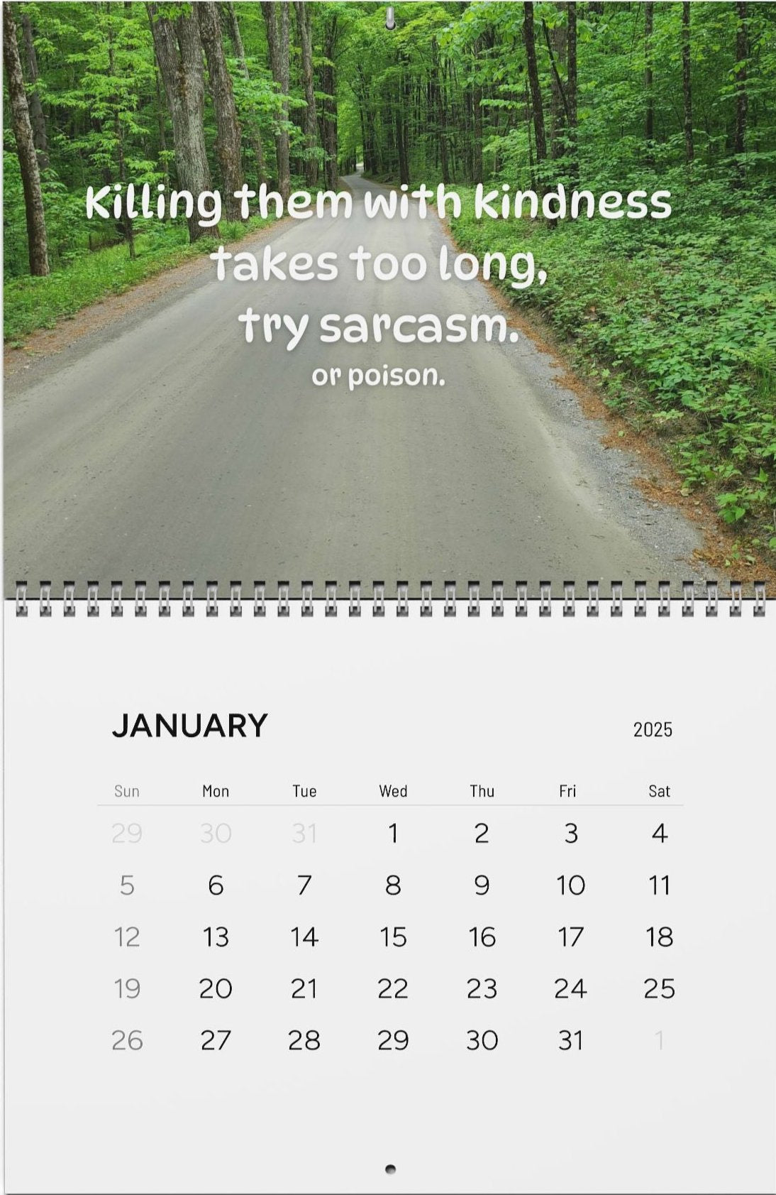 2025 Wall Calendars Sarcastic Nature