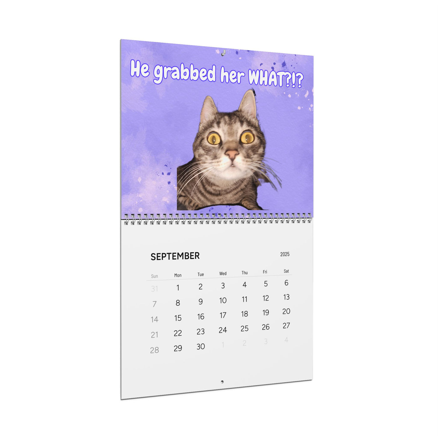 2025 Wall Calendar - Snarky Paws Catty Remarks Cat Calendar