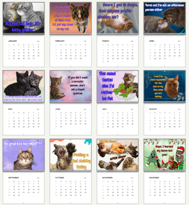 2025 Wall Calendar - Snarky Paws Catty Remarks Cat Calendar